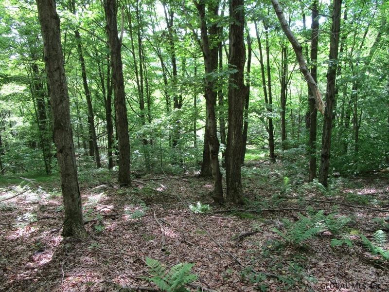 Rossman Road Denver, NY 12421 - Photo 15 of 23 Photo 15