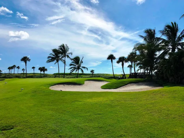 a view of building with garden