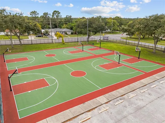 a view of a yard with a tree