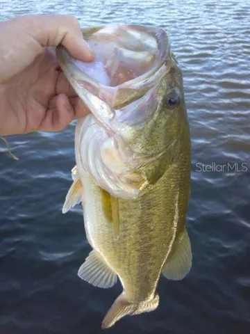 $355,000 | 1784 Providence Boulevard, Deltona, FL 32725