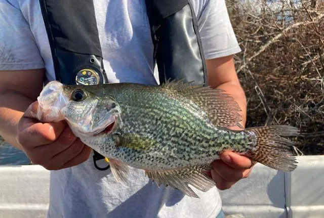 $355,000 | 1784 Providence Boulevard, Deltona, FL 32725