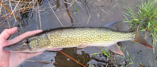 $355,000 | 1784 Providence Boulevard, Deltona, FL 32725