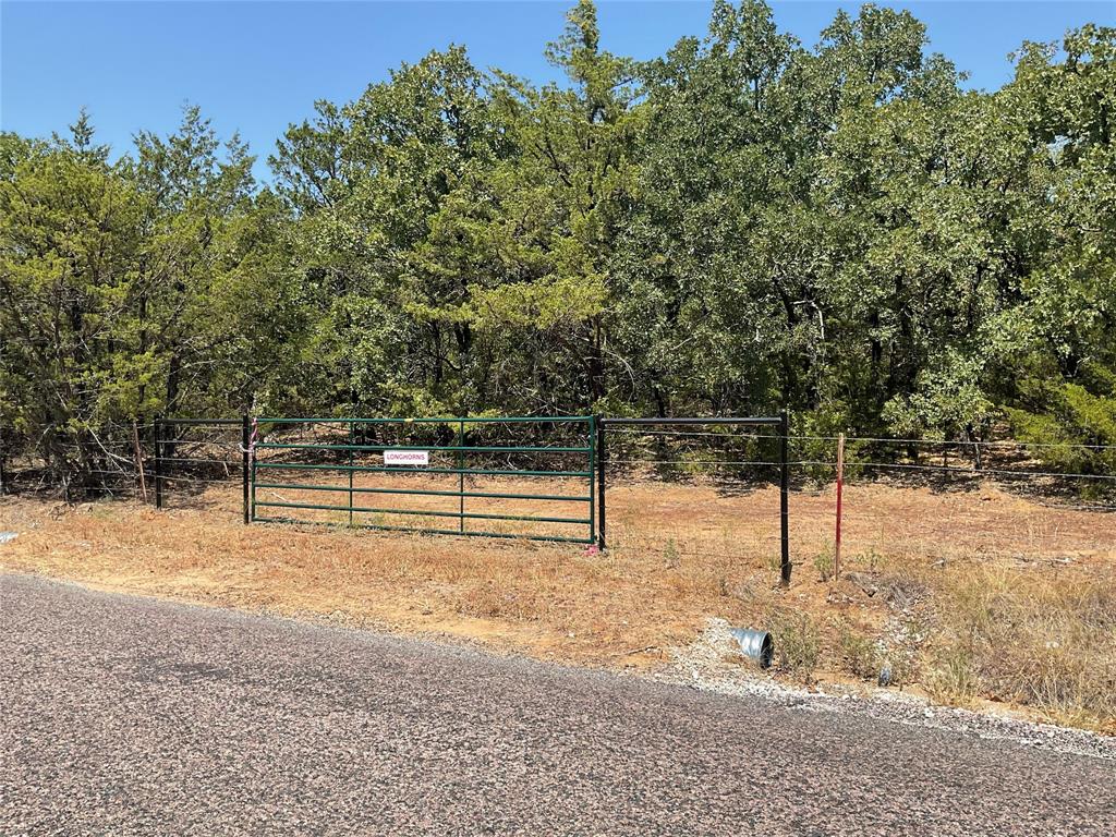 209 Red Top Road Valley View, TX 76272 - Photo 6 of 8 a view of a yard with trees