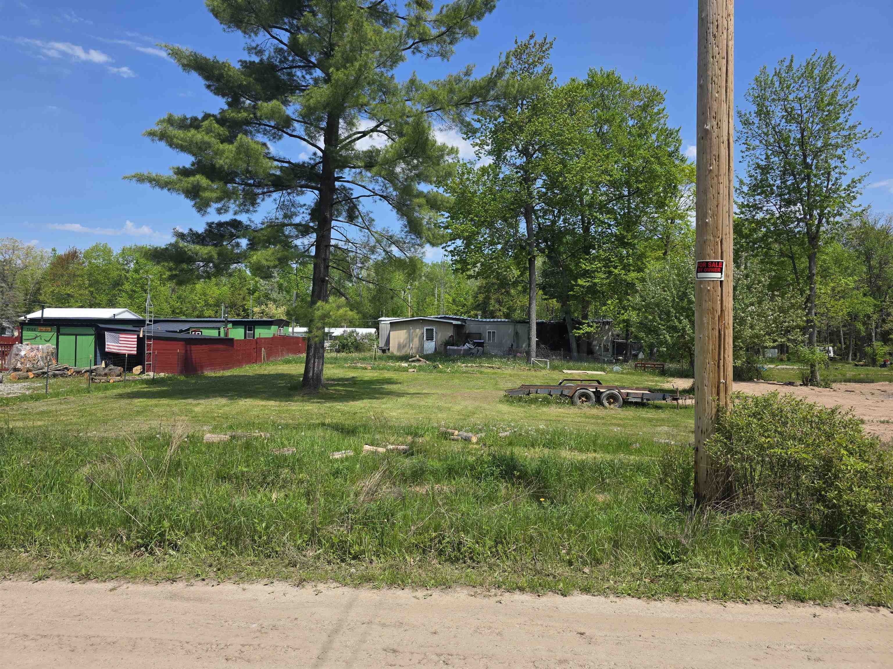 Pine Street Hale, MI 48739 - Photo 5 of 7