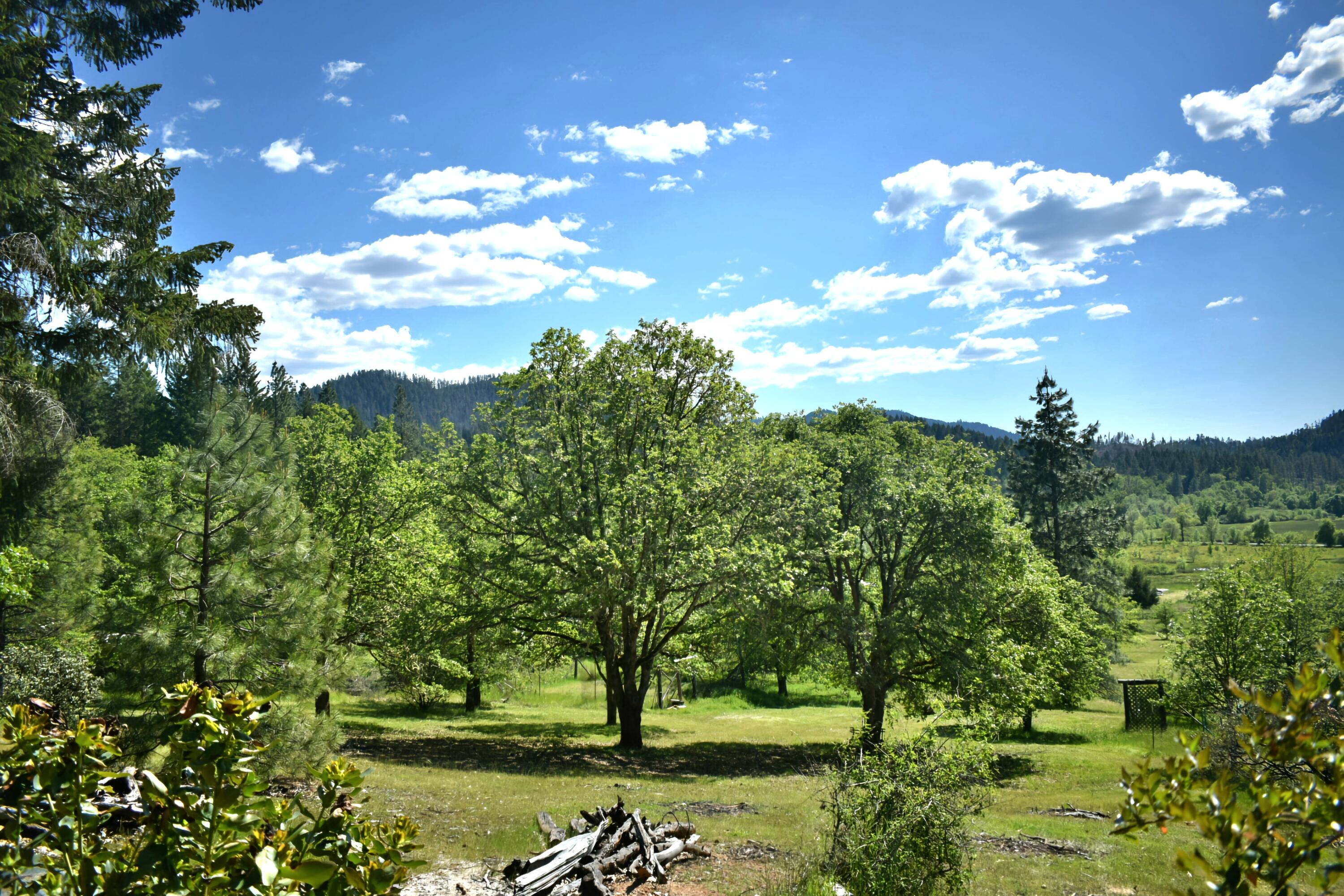 7419 Holland Corner Road Cave Junction, OR 97523 - Photo 44 of 48