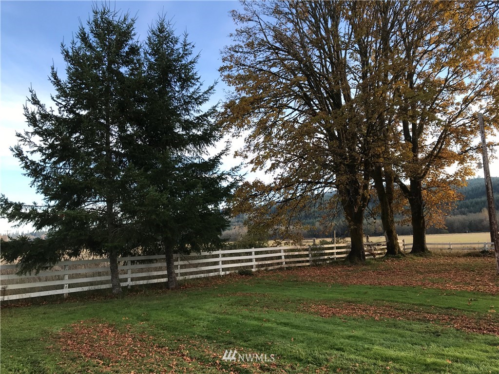 336 Doty-Dryad Road Doty, WA 98539 - Photo 28 of 33