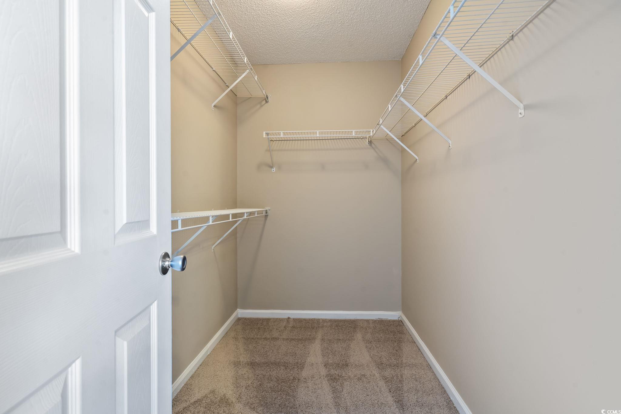 1007 Green Fir Loop Conway, SC 29527 - Photo 26 of 38 Walk in closet featuring light carpet