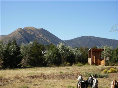 10990 Rodeo Road Flagstaff, AZ 86004 - Photo 8 of 27 Additional Photo