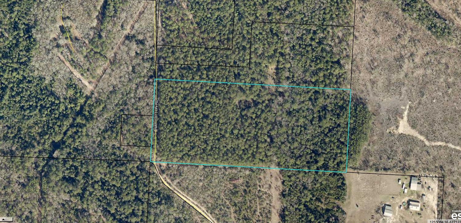 17-ac Ray Cotton Road Baker, FL 32531 - Photo 1 of 1 Screen Shot 2021-02-23 at 2.05.38 PM