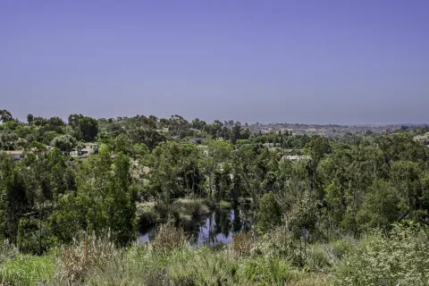 a view of a city with lush green forest