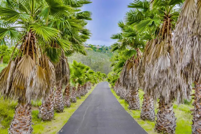 $3,988,800 | 3485 Lone Jack Road, Encinitas, CA 92024