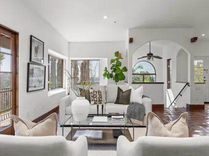 a living room with furniture flowerpot and a window