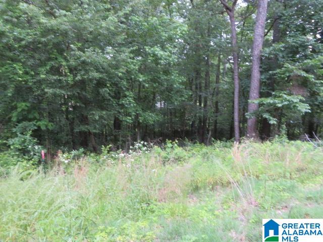 0 Deer Chase Road, Unit 12 McCalla, AL 35111 - Photo 1 of 2 Gallery Image 1