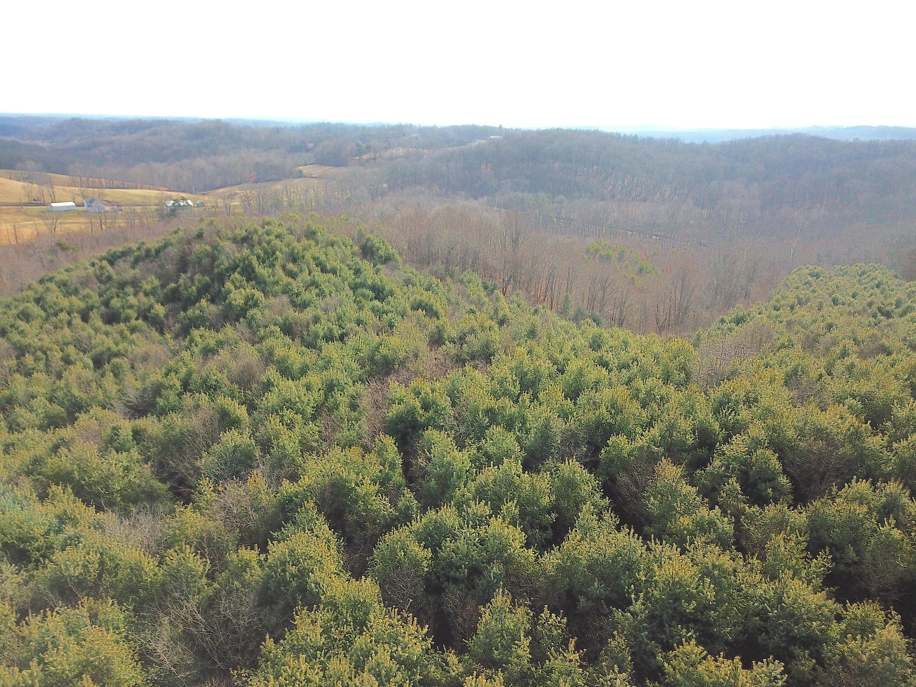 0 Minerton Chapel Road Vinton, OH 45686 - Photo 4 of 25 DJI_0241