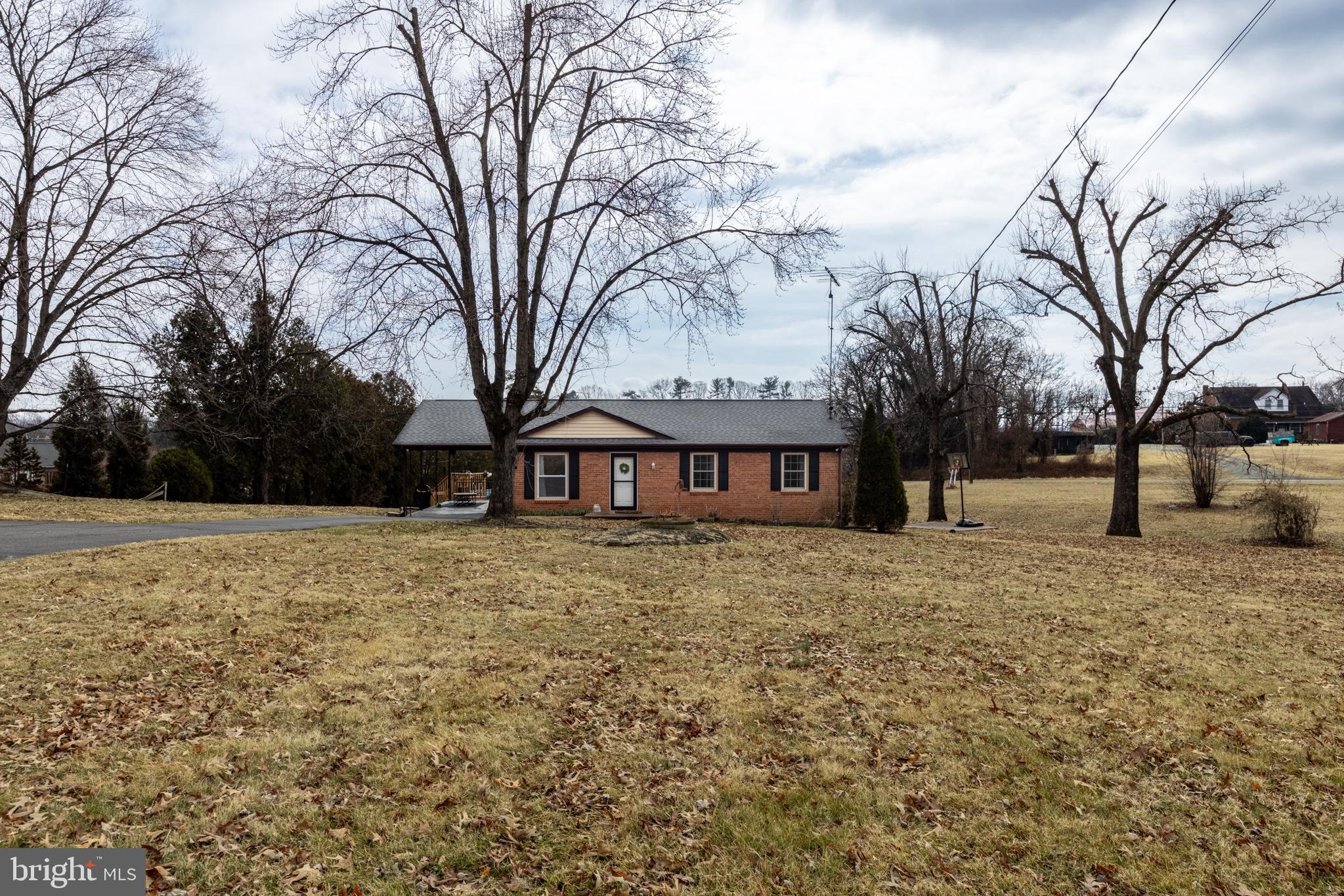 84 Clore Road Madison, VA 22727 - Photo 24 of 28 a large tree in front of a house