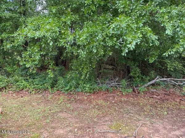 $85,000 | 0 West Norwood/old Enoch Road, Florence, MS 39073