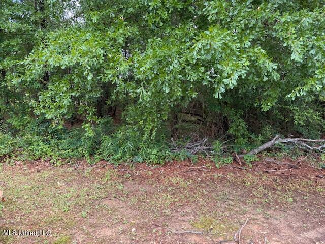 0 West Norwood/old Enoch Road Florence, MS 39073 - Photo 1 of 2 Leroy