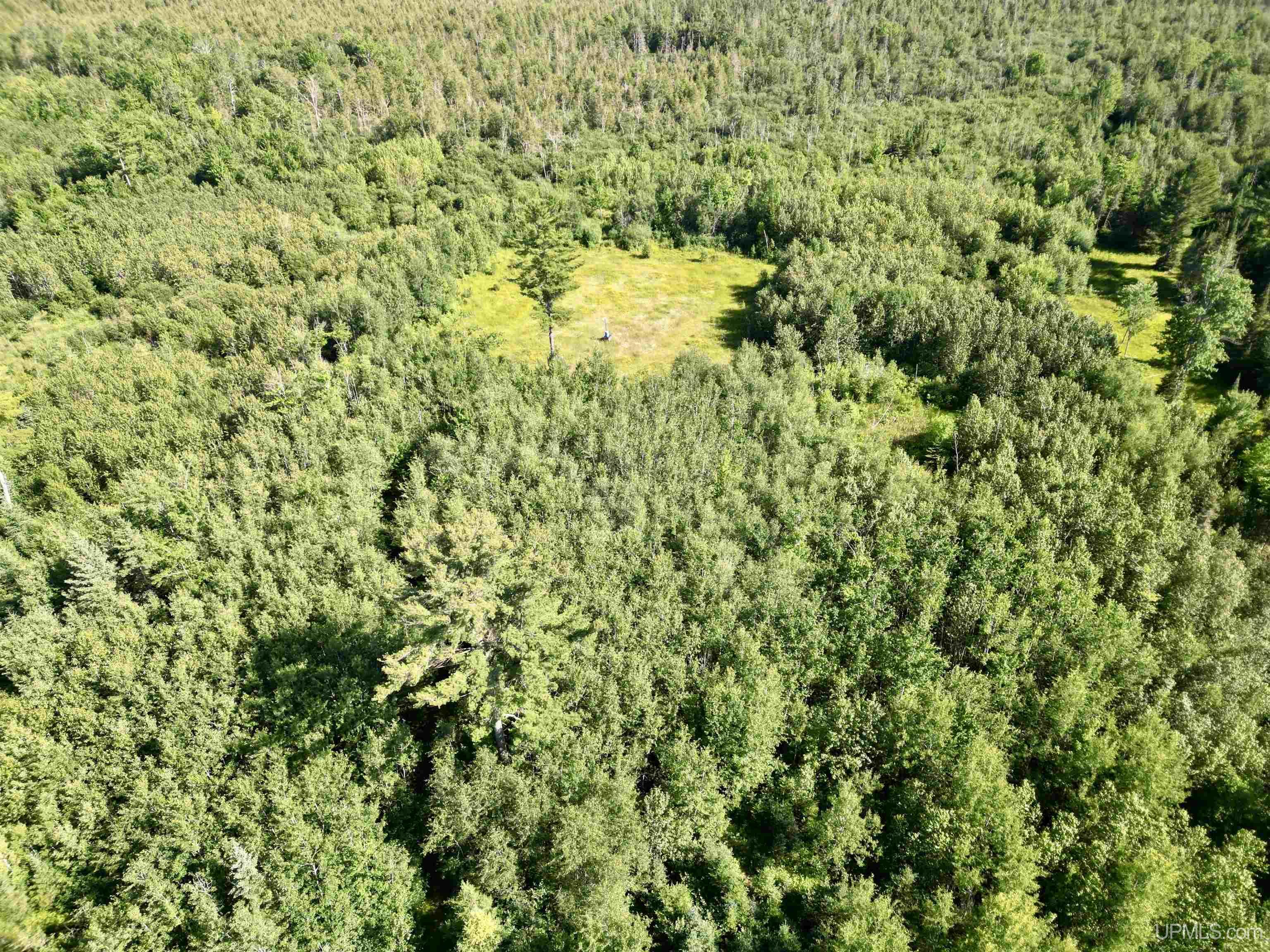 8357 School 16 Road Rapid River, MI 49878 - Photo 36 of 47