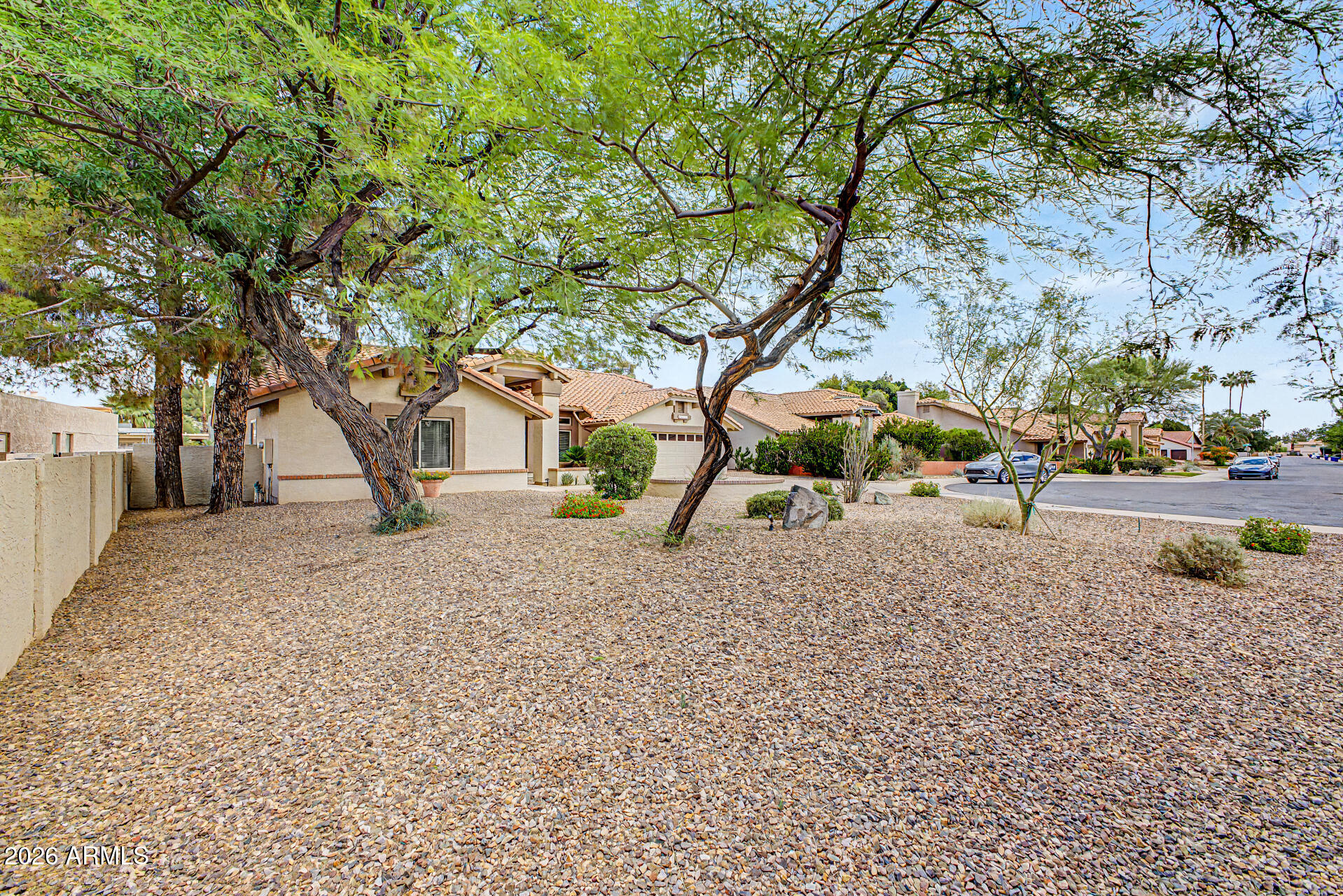 1924 East El Freda Road Tempe, AZ 85284 - Photo 54 of 56 a view of a yard with plants and trees