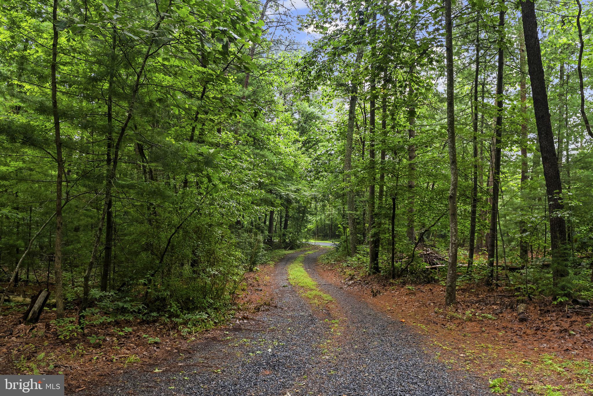 554 Arrington Mountain Road Haywood, VA 22722 - Photo 4 of 80