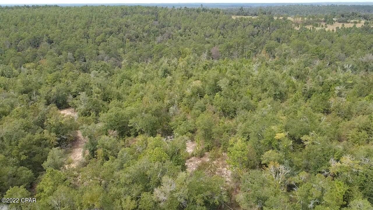 Xxx Richard Hardy Road West Bristol, FL 32321 - Photo 2 of 23