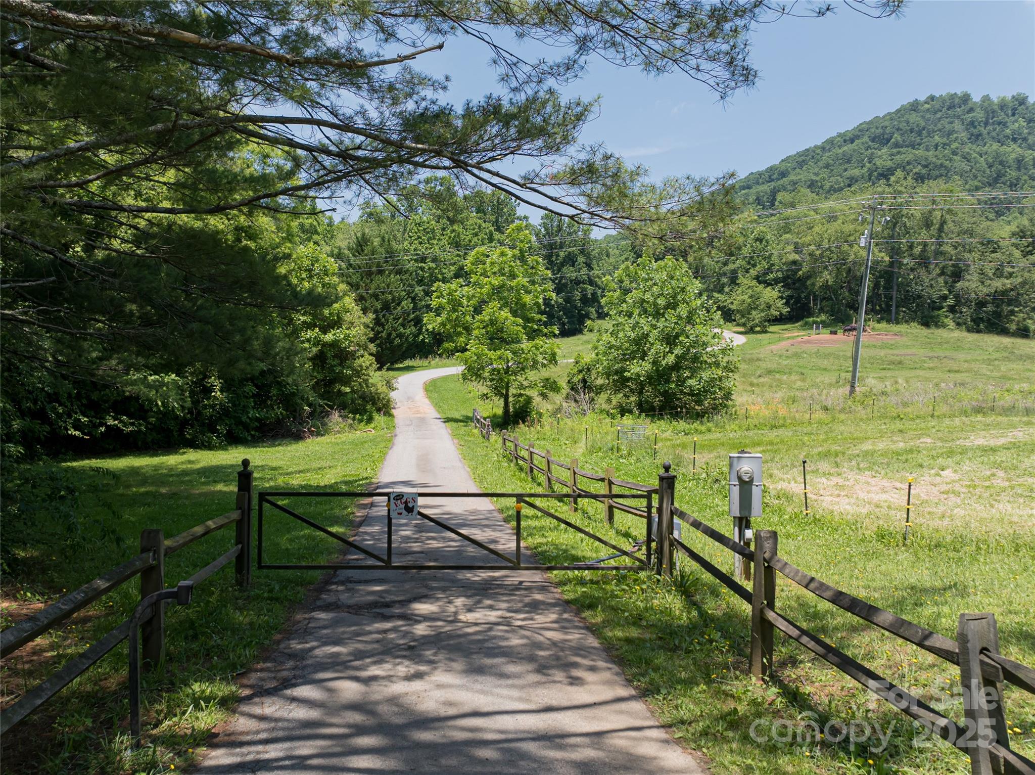 173 Avery Creek Road Arden, NC 28704 - Photo 1 of 35 a view of a park with large trees