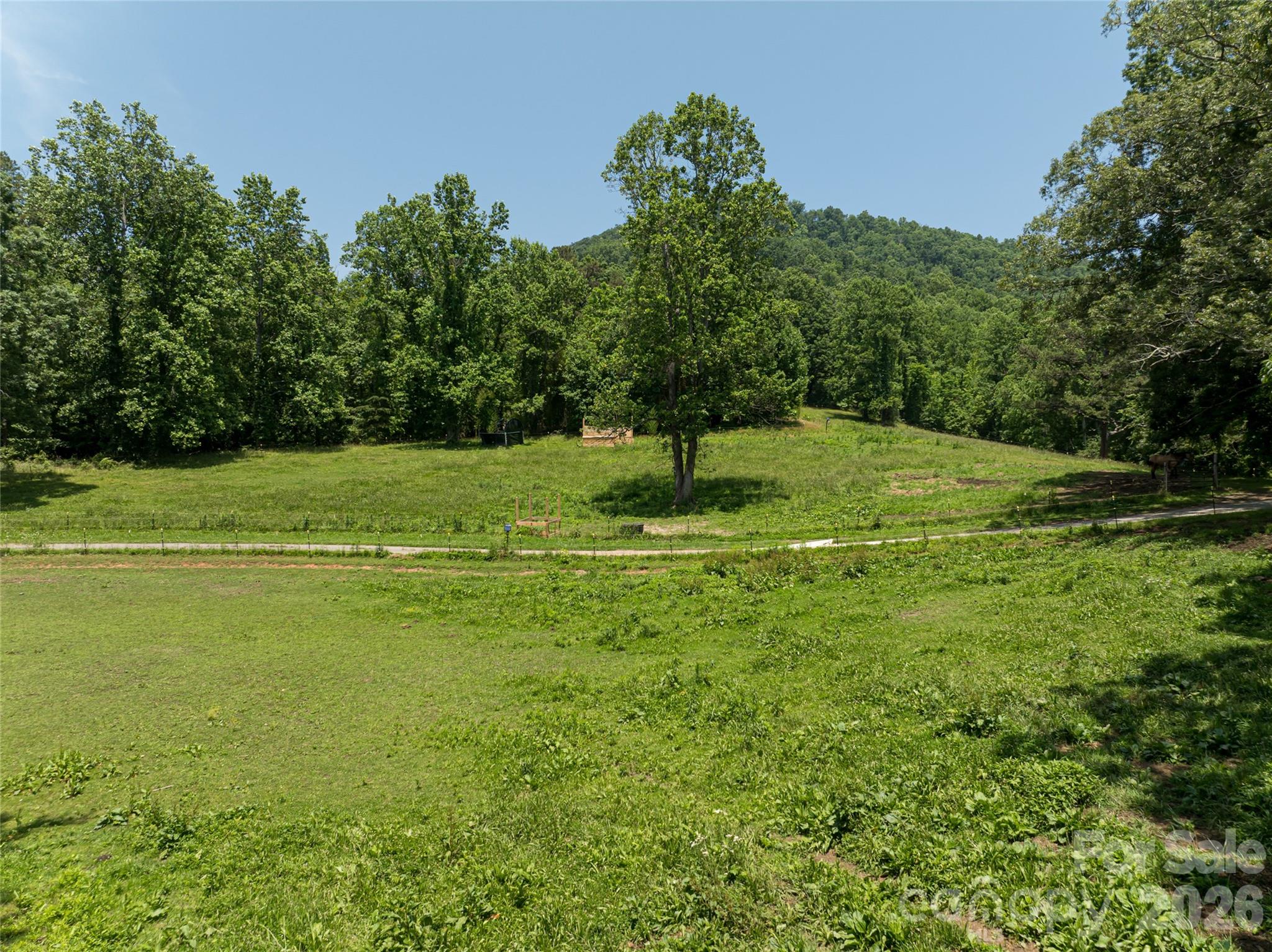 173 Avery Creek Road Arden, NC 28704 - Photo 15 of 35 a big yard with lots of green space and deers