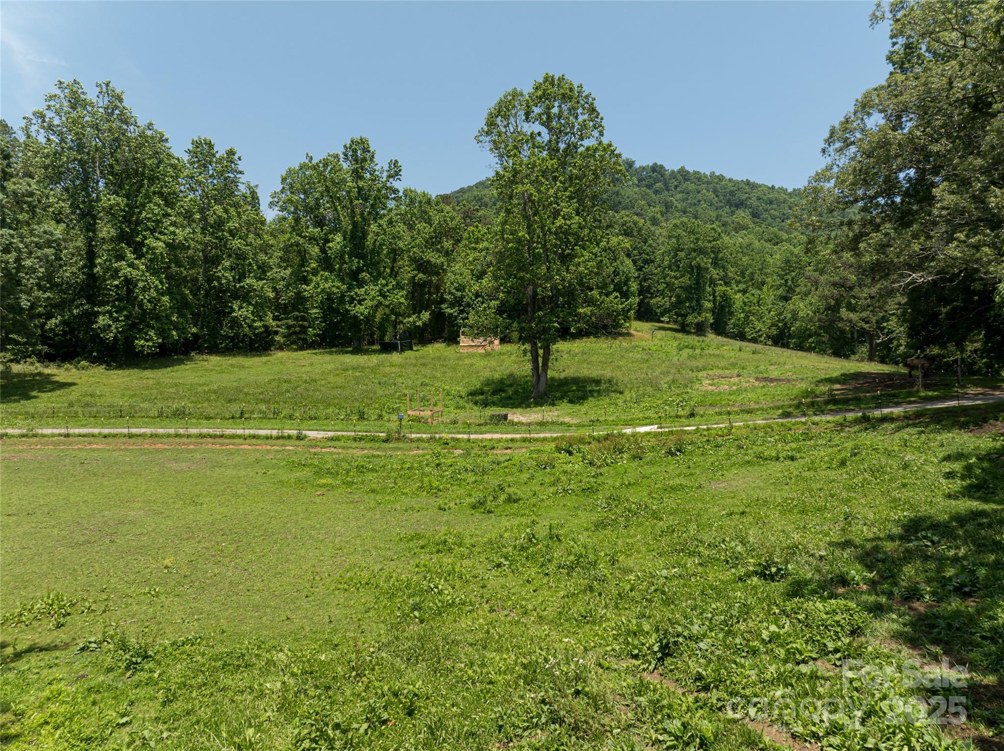 173 Avery Creek Road Arden, NC 28704 - Photo 15 of 35 a big yard with lots of green space and deers