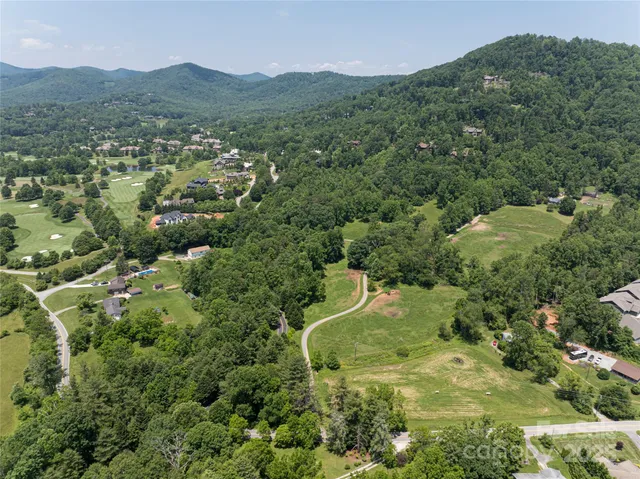 a view of a lush green hillside and houses