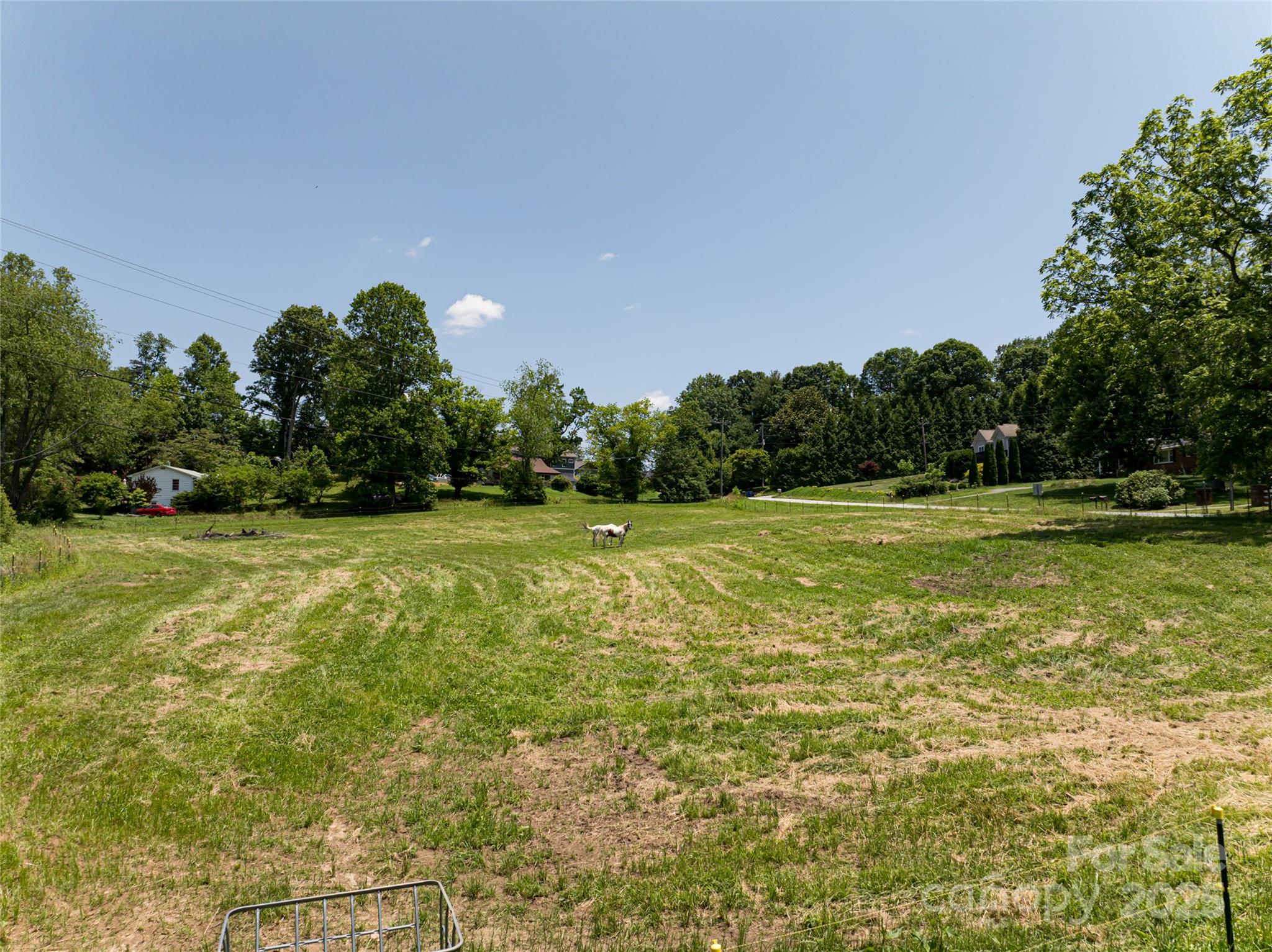 173 Avery Creek Road Arden, NC 28704 - Photo 2 of 35 a view of a green field