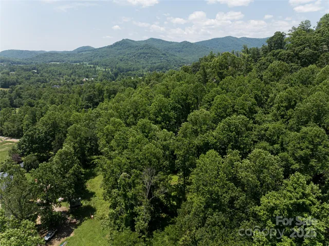 an aerial view of houses covered in trees