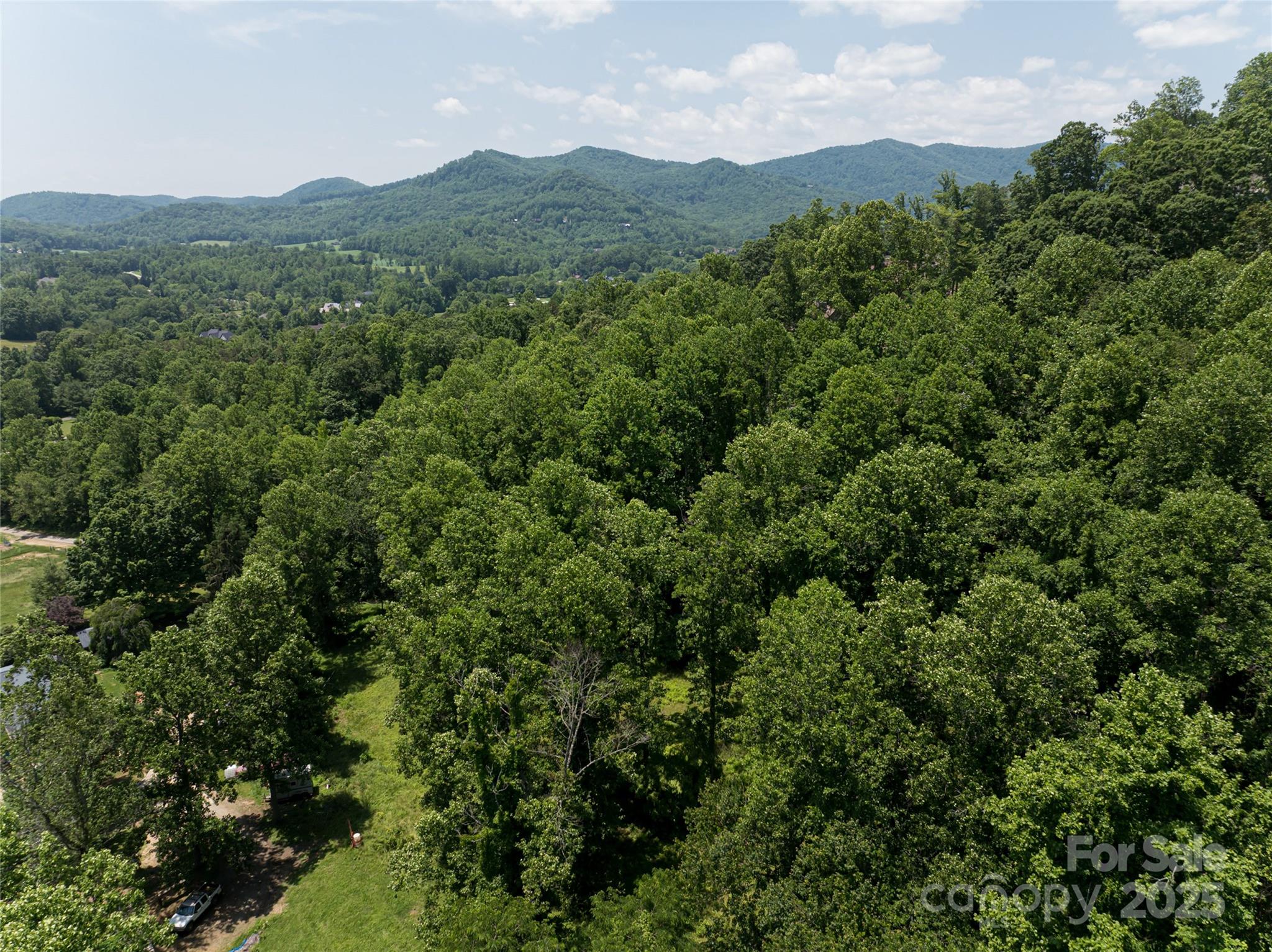 173 Avery Creek Road Arden, NC 28704 - Photo 29 of 35 an aerial view of houses covered in trees