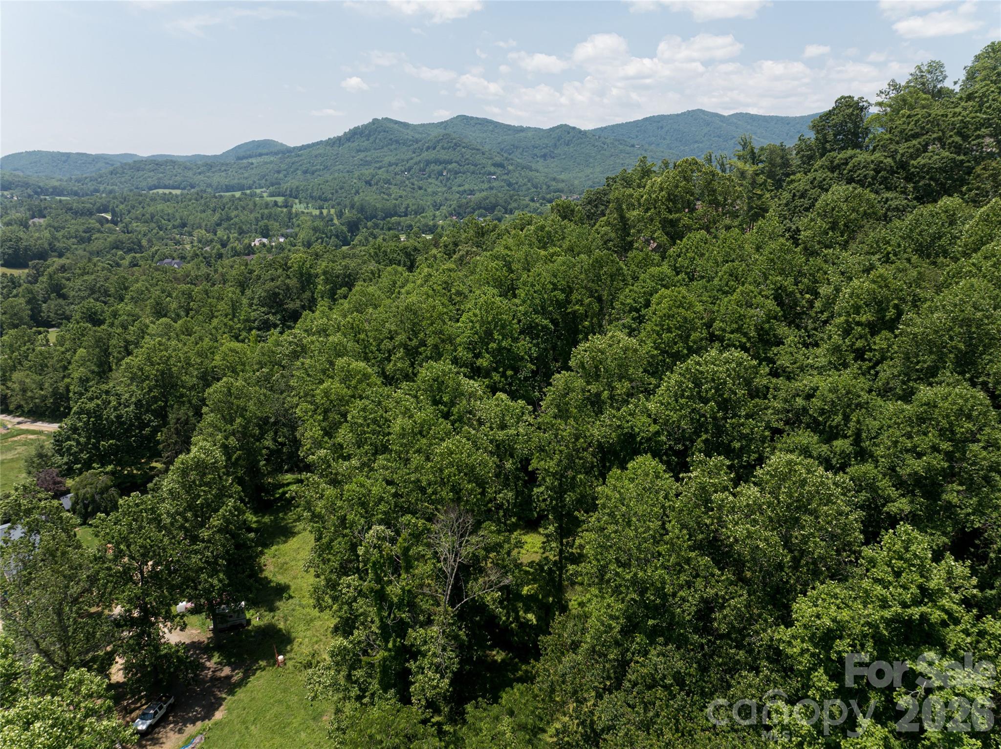 173 Avery Creek Road Arden, NC 28704 - Photo 29 of 35 an aerial view of houses covered in trees