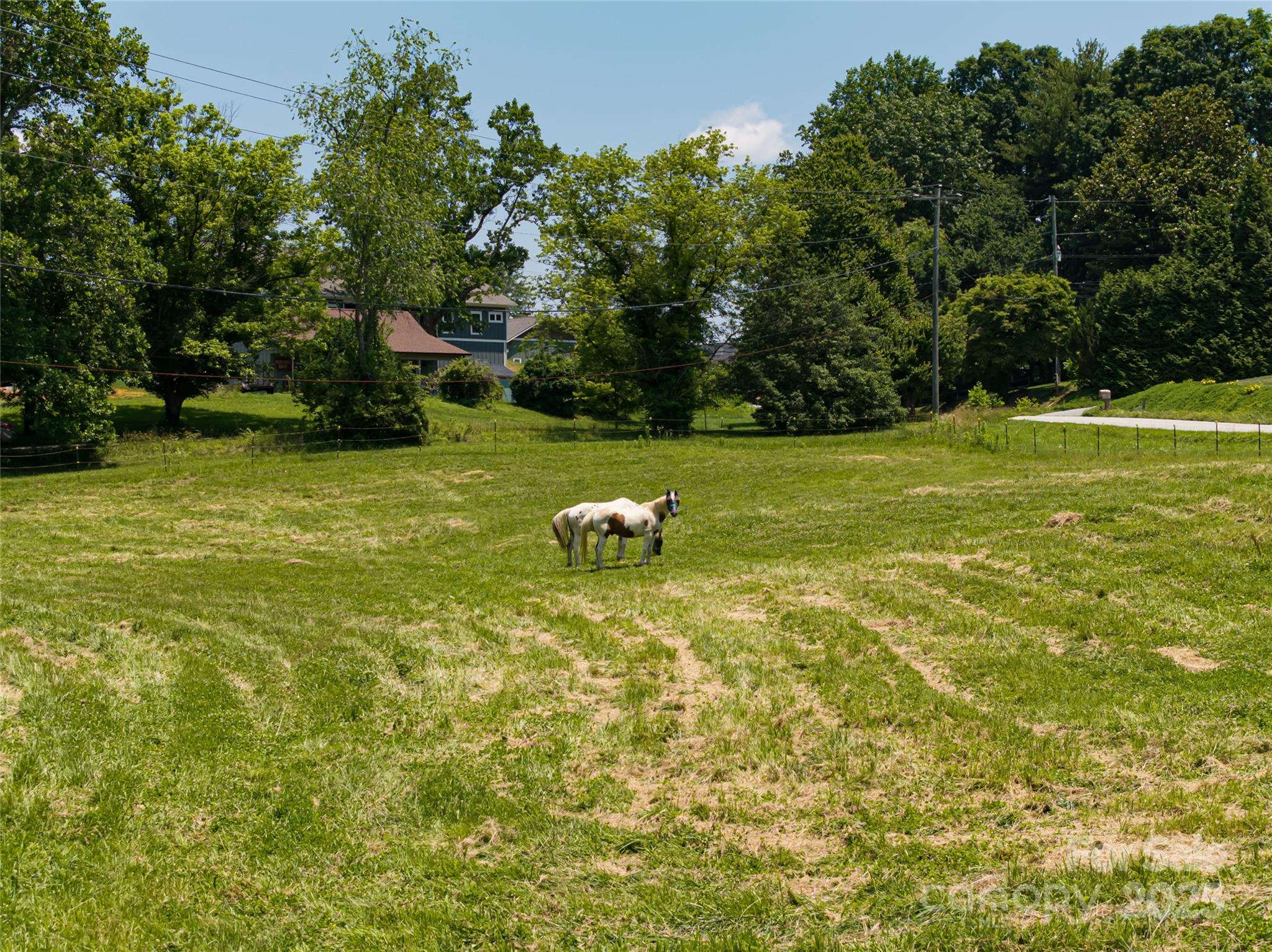 173 Avery Creek Road Arden, NC 28704 - Photo 3 of 35 a backyard of a house with lots of green space