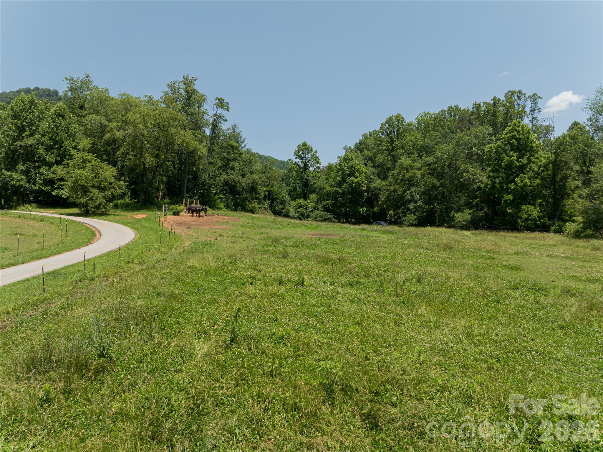 173 Avery Creek Road Arden, NC 28704 - Photo 3 of 35 a view of a grassy field with trees in the background