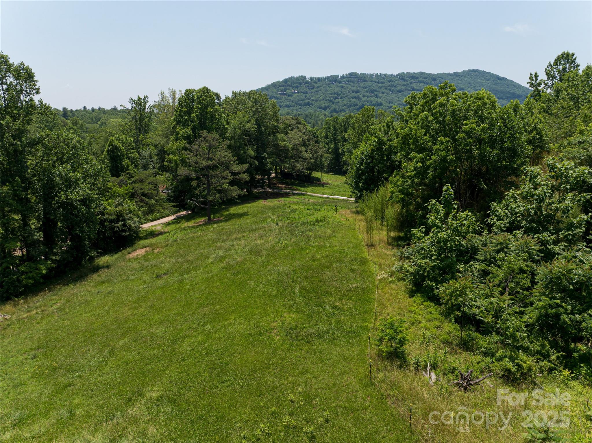 173 Avery Creek Road Arden, NC 28704 - Photo 32 of 35 a view of a lush green outdoor space with a lake view