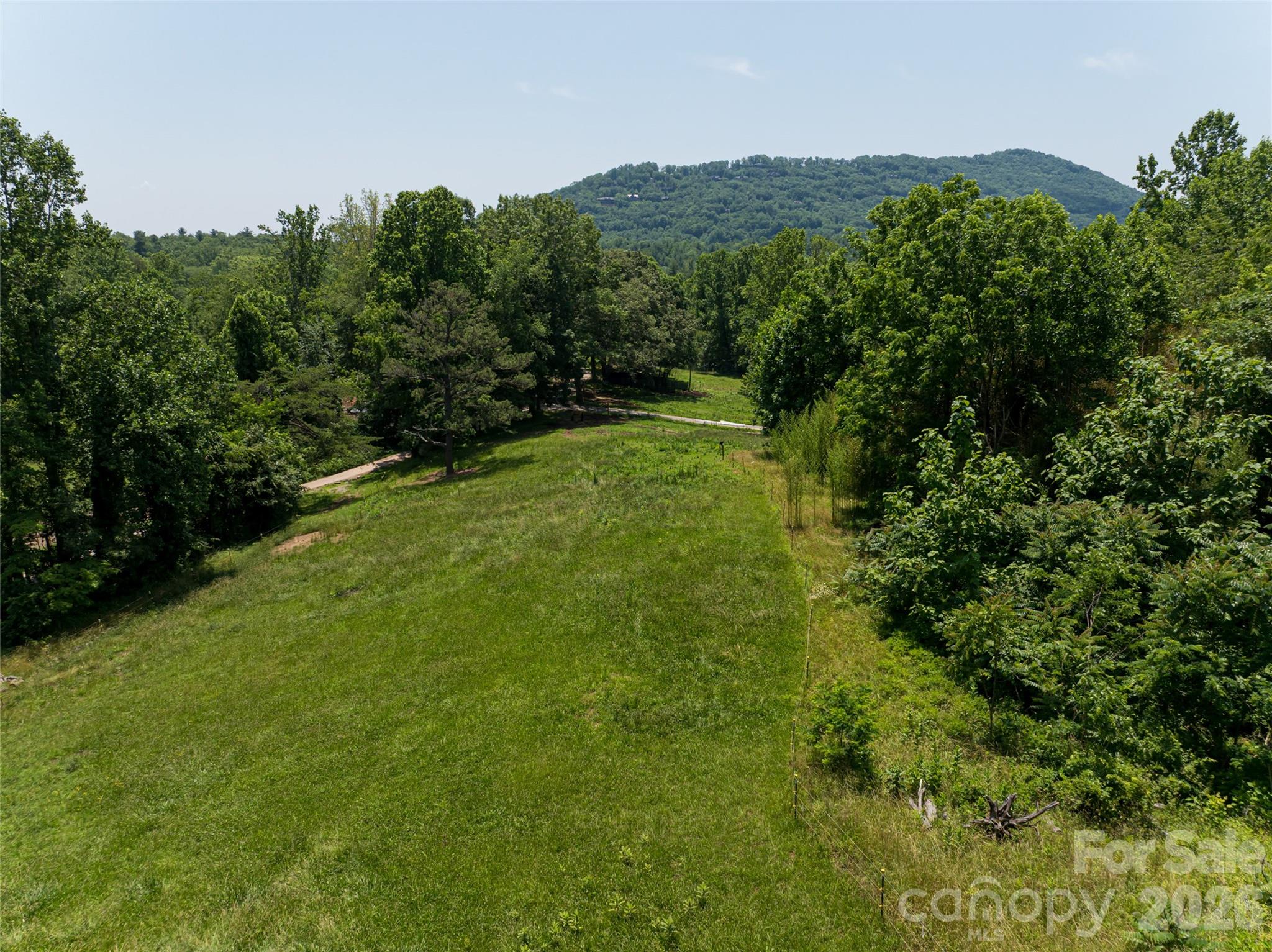 173 Avery Creek Road Arden, NC 28704 - Photo 33 of 35 a view of a lush green outdoor space with a lake view