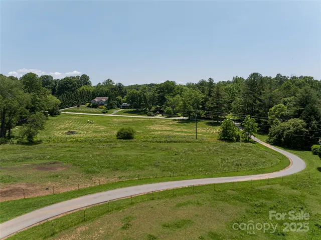 a view of a big yard with swimming pool and green space