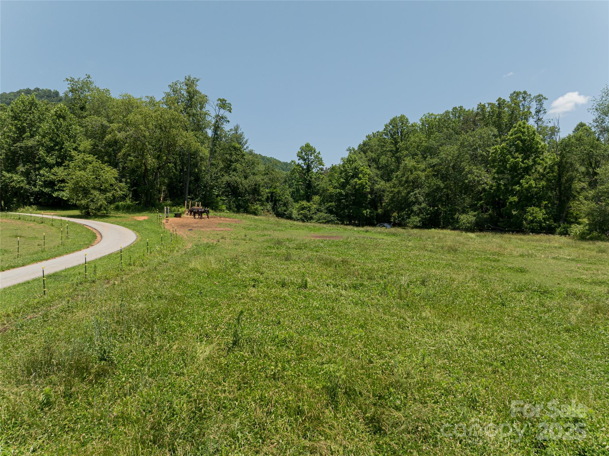 173 Avery Creek Road Arden, NC 28704 - Photo 4 of 35 a view of a green field with clear sky