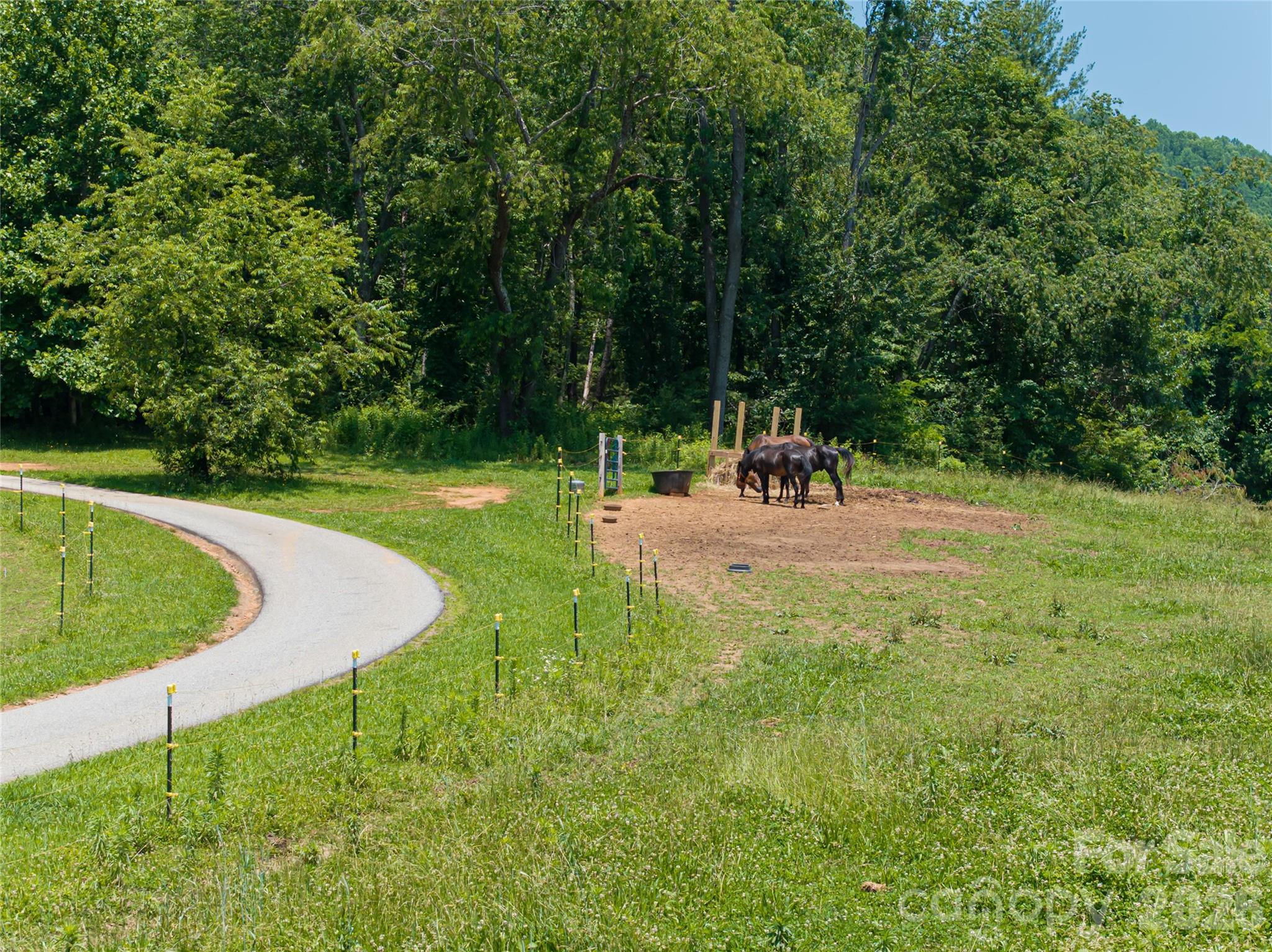173 Avery Creek Road Arden, NC 28704 - Photo 5 of 35 a view of a swimming pool with a yard