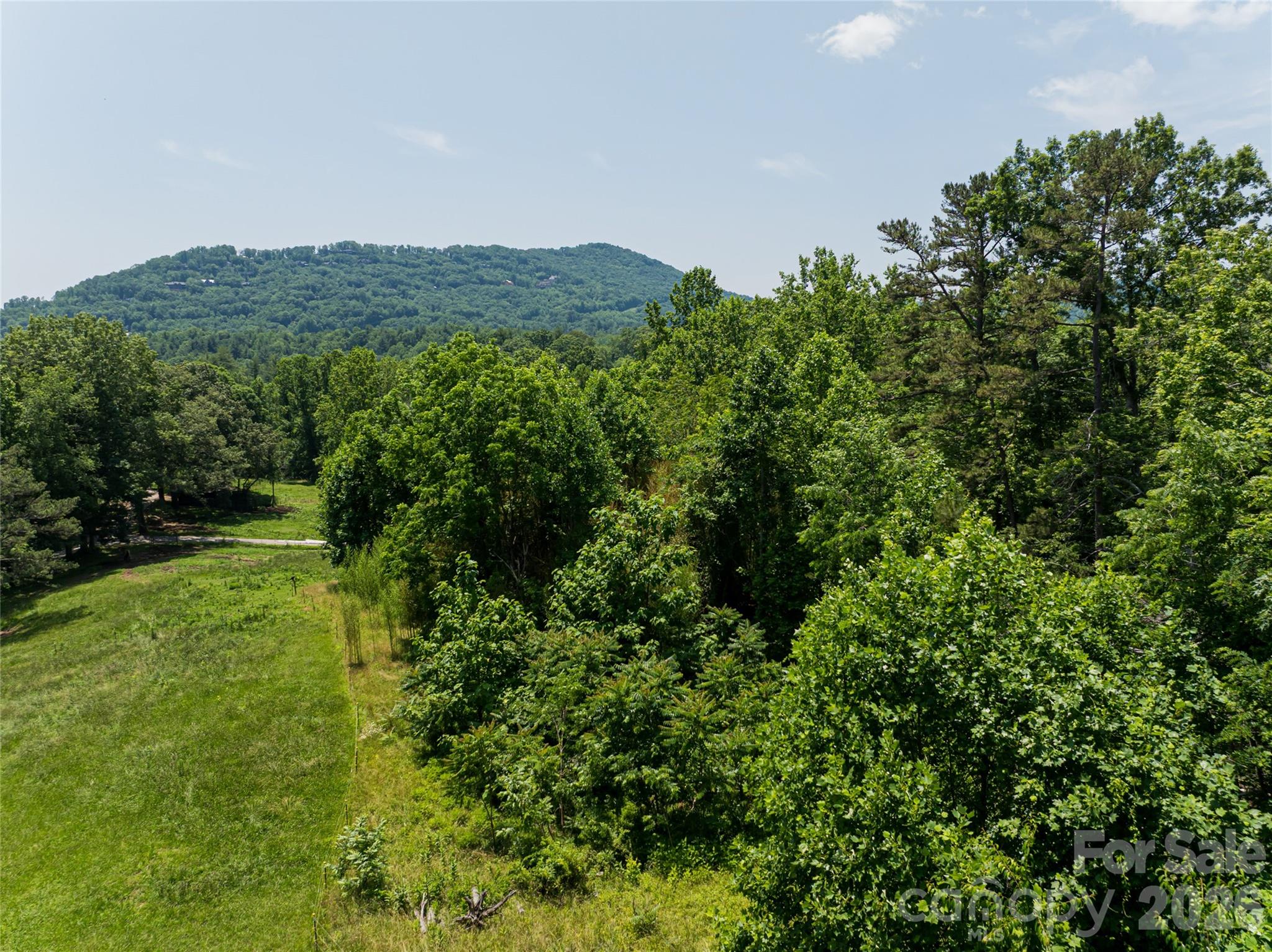 173 Avery Creek Road Arden, NC 28704 - Photo 6 of 35
