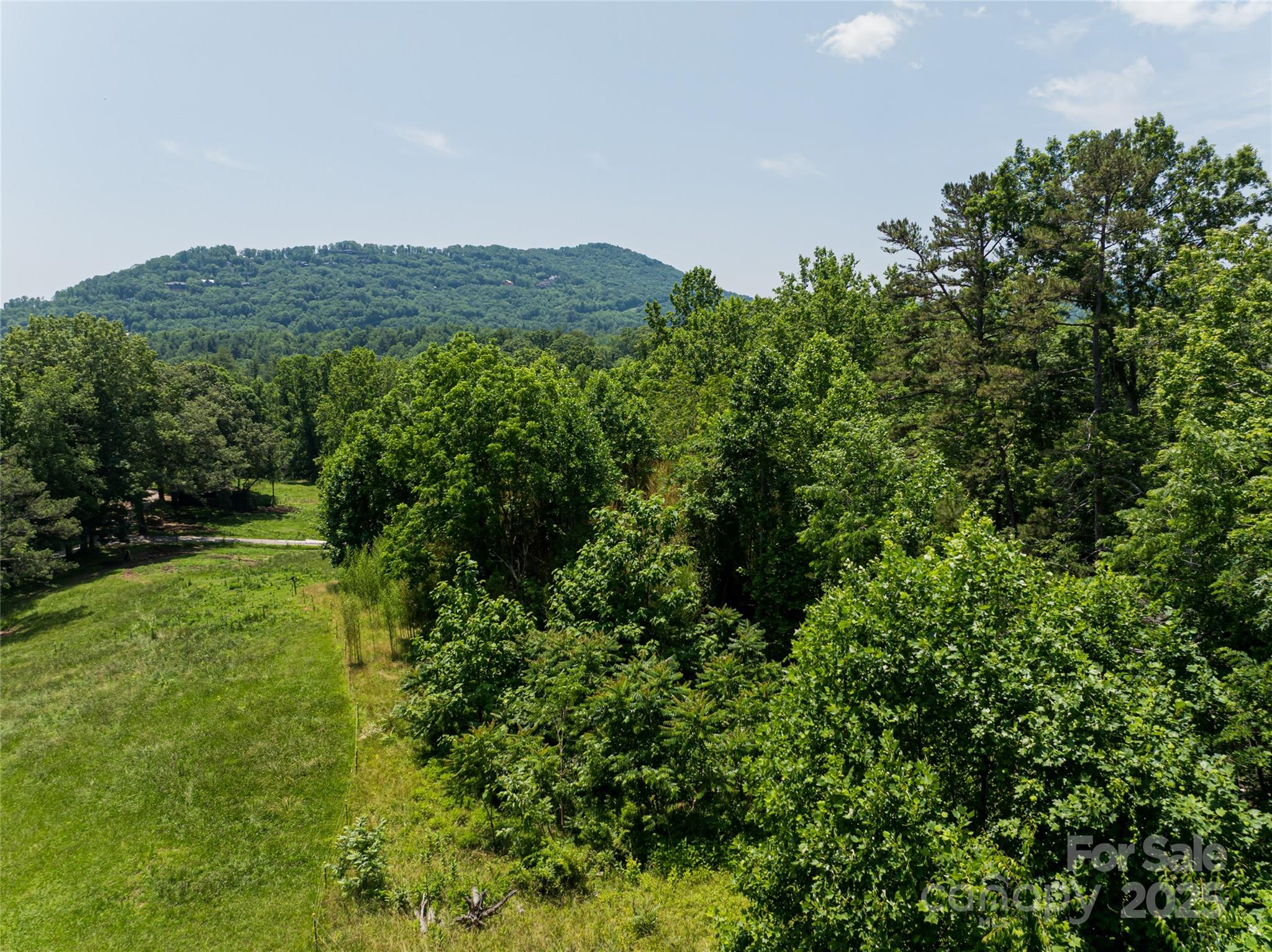 173 Avery Creek Road Arden, NC 28704 - Photo 7 of 35 a view of a lush green field with lots of bushes