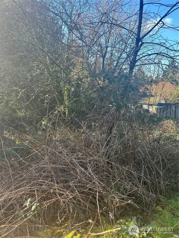 a close up of a wall