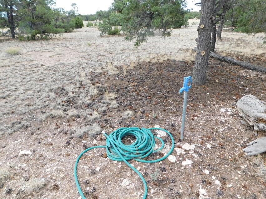 246 Spring Canyon Road Quemado, NM 87829 - Photo 13 of 21 Gallery Image 13
