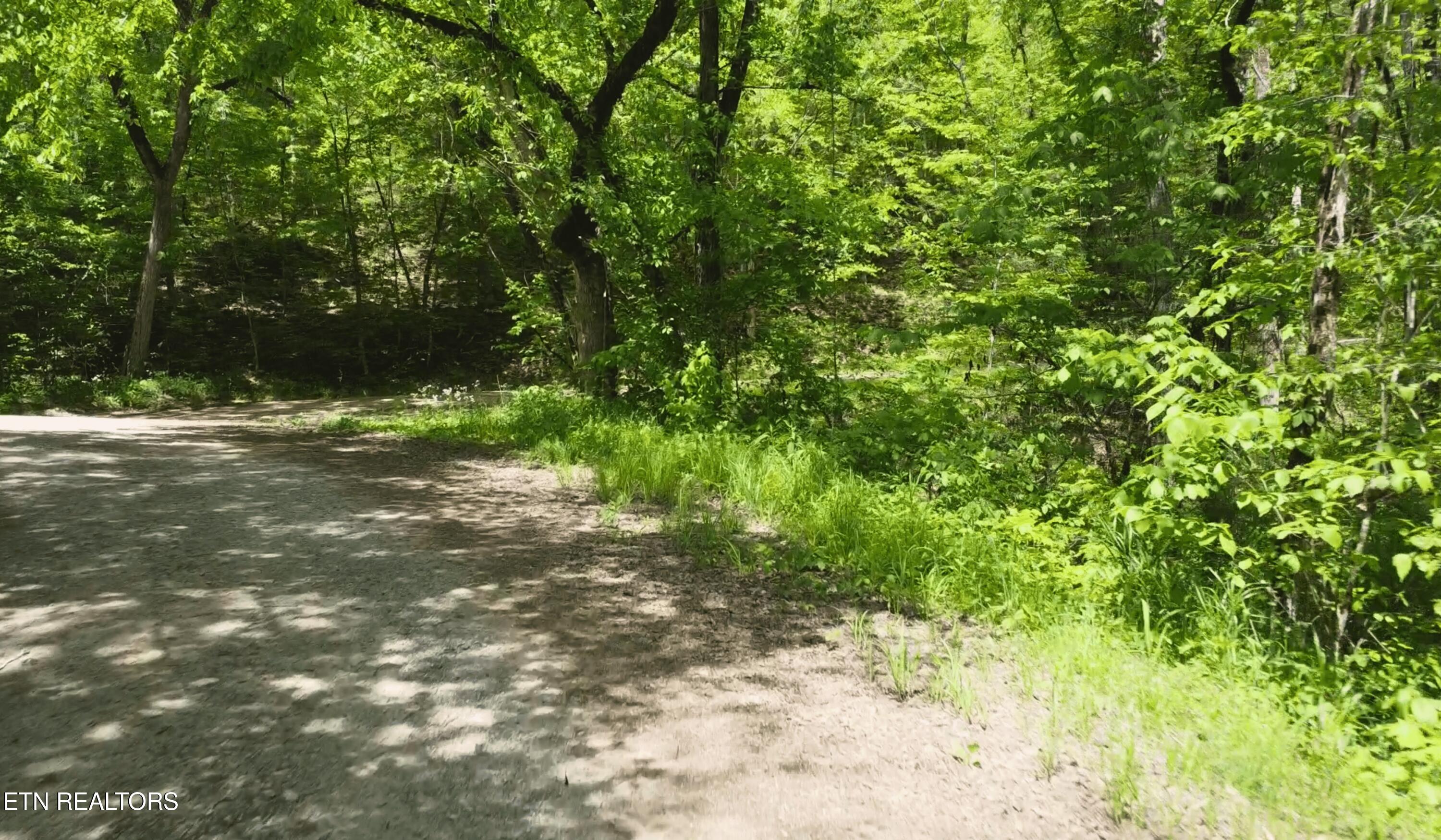Bear Creek Road New Tazewell, TN 37825 - Photo 6 of 26 TVA road