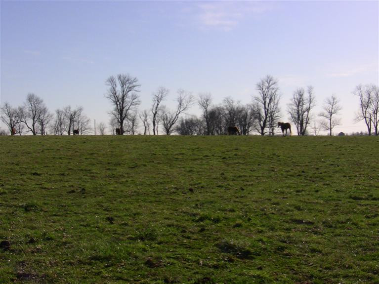 329 Hawkins - Cummins Road Paris, KY 40361 - Photo 10 of 10 Photo 10