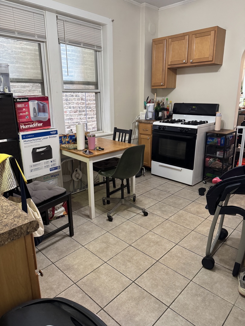 3145 South May Street, Unit 1F Chicago, IL 60608 - Photo 4 of 11