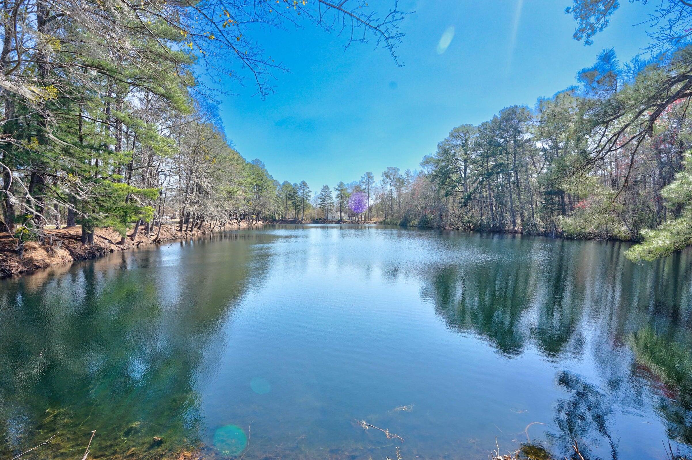 107 Boyle Way Summerville, SC 29485 - Photo 18 of 21 20241211231214135388000000-o