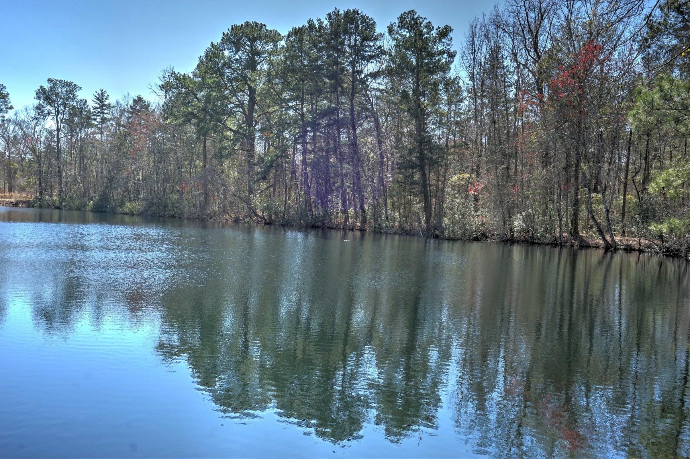 107 Boyle Way Summerville, SC 29485 - Photo 19 of 21 20241211231216778362000000-o