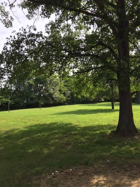 1226 Center Point Road Hendersonville, TN 37075 - Photo 3 of 14 a view of a field with a tree